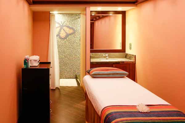 Disney Dream Gallery Image